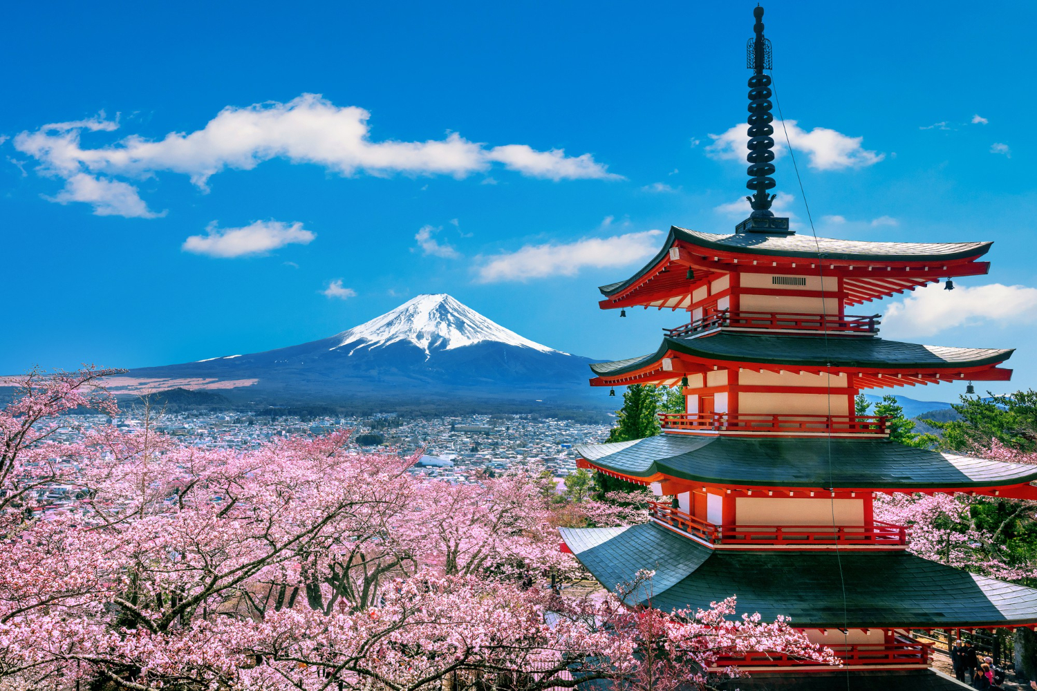 You are currently viewing Why Japan Should Be Your Next Destination: A Complete Travel Guide